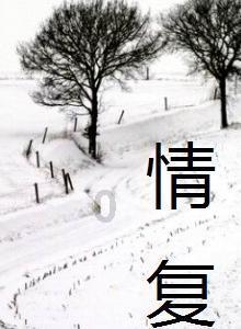 新垣结衣代表作《恋空》：纯爱的轮回与永恒