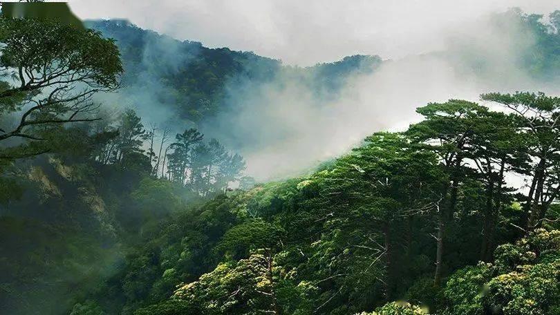 雪天众多大车司机被困,周围热心市民见状立即前来帮助