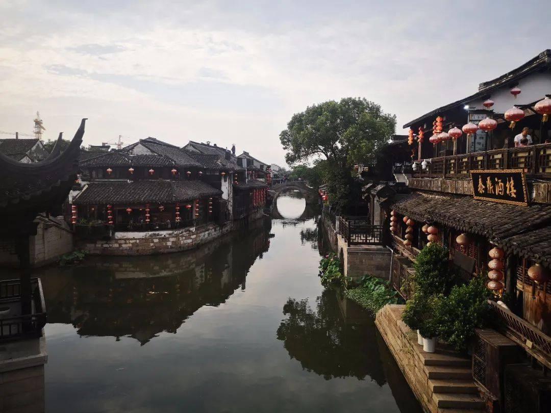 为什么不能逼孩子把饭吃光光游戏画面
